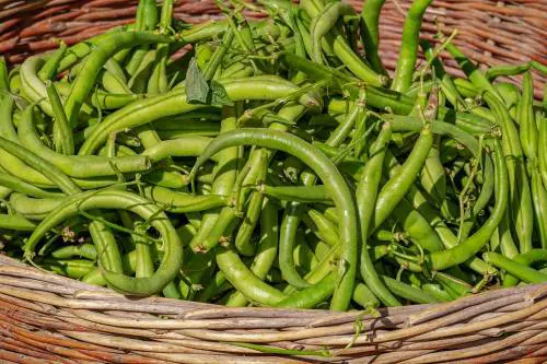Prezzi record per le verdure a causa del freddo