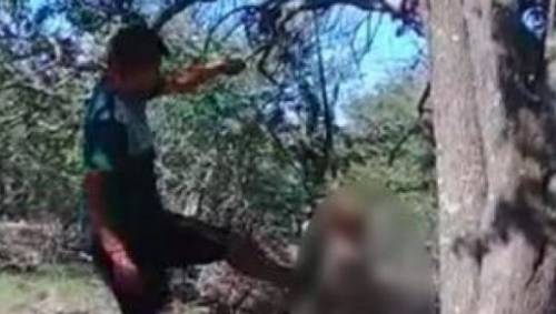 Appende il cane all'albero e lo uccide: "Non mi faceva dormire"
