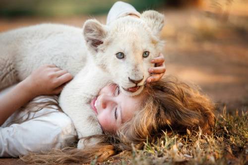 Al cinema "Mia e il leone bianco", un amore puro
