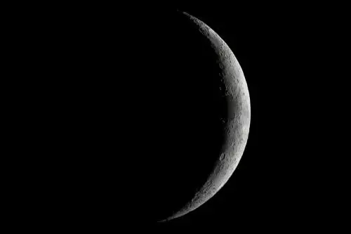 Esperimento fallito: è morta la prima pianta germogliata sulla Luna 