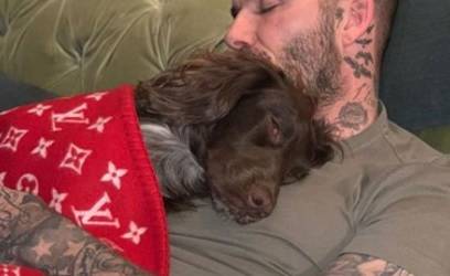 David Beckham spende 5mila euro per la coperta della sua cagnolina