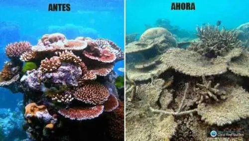 La #10yearschallenge che guarda all'ambiente: ecco com'è cambiato