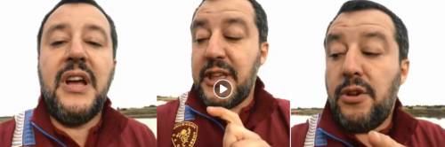 "Spiderman, stai con me?". Il bimbo interrompe la diretta Fb di Salvini