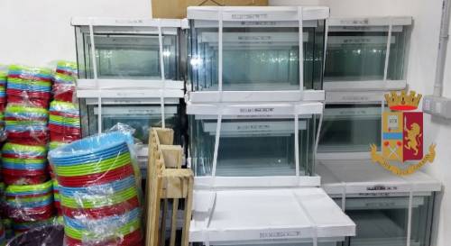 Pizzicati a rubare nel negozio, in cinque arrestati