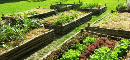 A Palermo orti in affitto, coltivare la terra fa bene alle famiglie e ai disabili