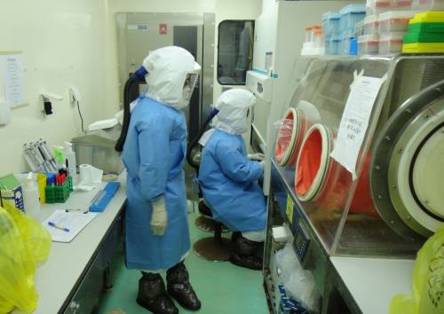 "Trafugati i campioni di ebola". Ma dove sono finiti davvero?