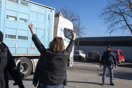 Torino, nella notte gli animalisti si incatenano al mattatoio