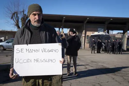 Gruppo di animalisti si incatena al mattatoio di Torino