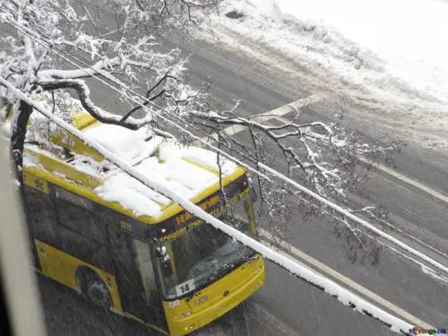 Iryna, cacciata dal bus perché non ha il biglietto: così è morta congelata