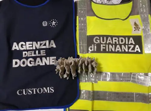 In aeroporto col corallo protetto, rischia maxisanzione