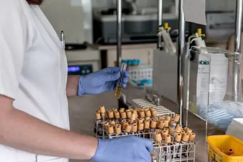 Morta per una trasfusione di sangue: arriva il risarcimento milionario