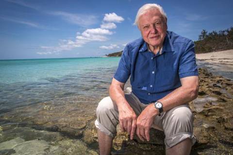 Attenborough, il "Piero Angela" inglese che torna in tv a 92 anni