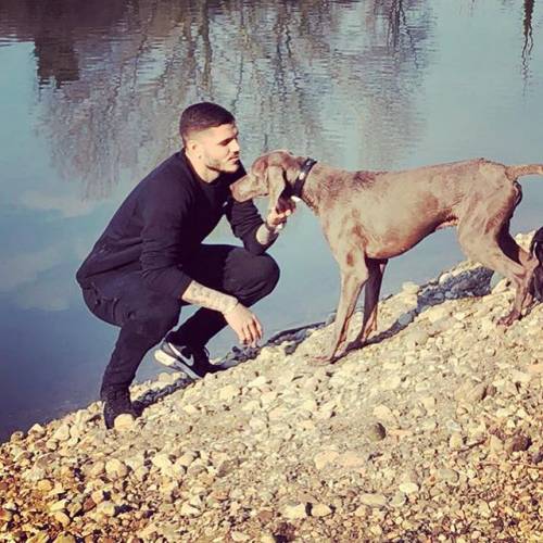 Inter, Icardi in lutto: è morto il cane Coco. Tifosi divisi sui social