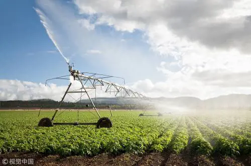 Cina e Italia: nuove opportunità cooperative nello sviluppo agricolo