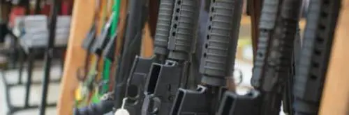 Un arsenale completo (e una faina imbalsamata) in casa