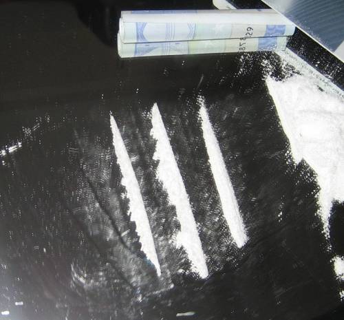 Cocaina e bomba carta interrate nel giardino, arrestato 28enne incensurato