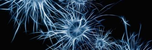 Alzheimer e microbi: un nuovo studio conferma la correlazione