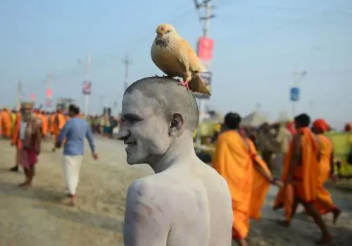 India, i devoti nelle foto dal fiume Gange 
