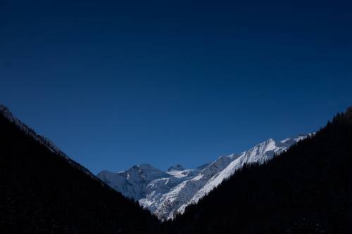 Il consiglio utile: in montagna state attenti a cuori e api