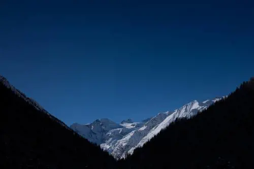 Il consiglio utile: in montagna state attenti a cuori e api