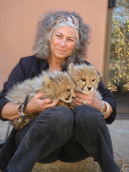 La signora dei ghepardi si appella alla Namibia: "Salvate questo felino"