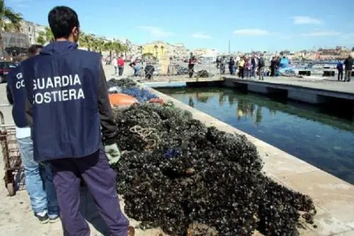Cozze contaminate dalla salmonella: è allarme a Napoli
