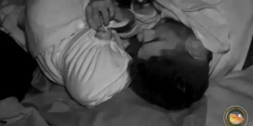 Isola dei Famosi, Soleil e Jeremias sono già una coppia. Rodriguez sta facendo un dispetto a Luca Onestini?