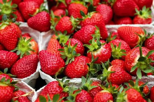 I cibi afrodisiaci per San Valentino