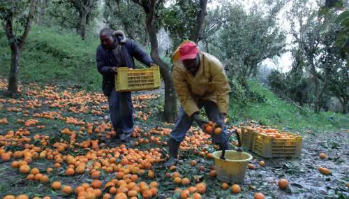 Chi dà lavoro agli irregolari pagherà il loro rimpatrio