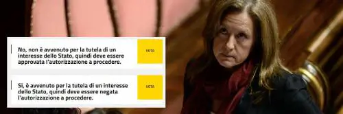 Grillini contro Rousseau: "Prende soldi pubblici ma neanche funziona"