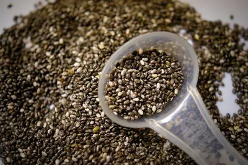 Semi di chia. Proprietà e benefici di questa antichissima pianta