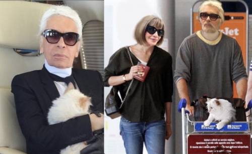 L'eredità di Karl Lagerfeld? In parte alla sua gatta Choupette