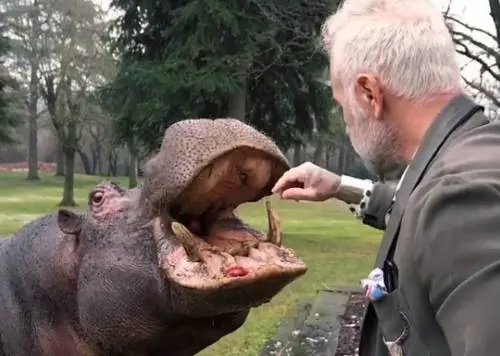 Gianluca Vacchi si è comprato un ippototamo e lo ha messo in giardino