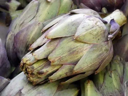 I carciofi, grandi alleati della nostra salute