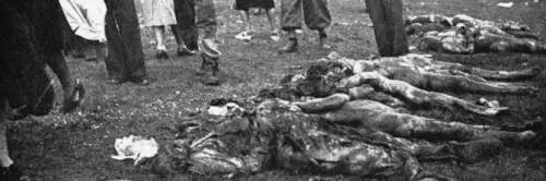 Foibe, esuli insorgono contro la petizione per il ritiro della mozione anti-negazionismo