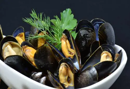 Cozze "special" contaminate: cosa fare se le avete acquistate