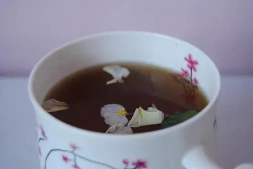 Le tisane drenanti: tutti gli usi e benefici