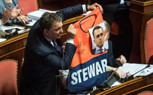 Senatore Forza Italia espone gilet steward con foto di Di Maio: bagarre in Aula