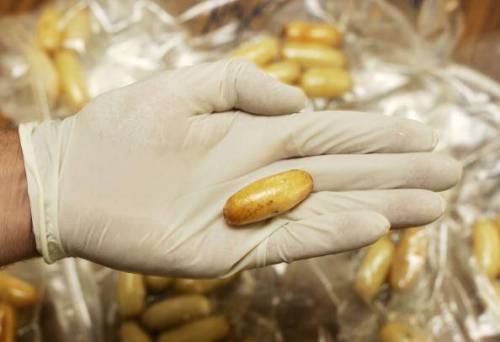 Ha cento ovuli di cocaina nascosti nell'intestino: corriere della droga arrestato a Linate