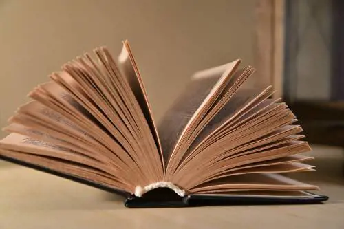 Non ci sono più le scrittrici di una volta. Ecco com'erano