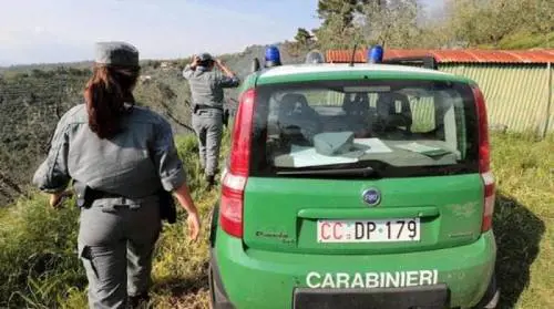 Traffico internazionale di animali, Napoli crocevia strategico per la criminalità