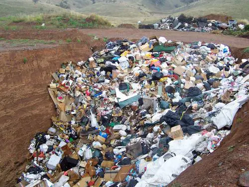 Sequestrata discarica abusiva in un’area protetta del Salernitano
