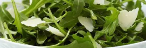 Lo studio: la rucola fa bene alla fertilità maschile