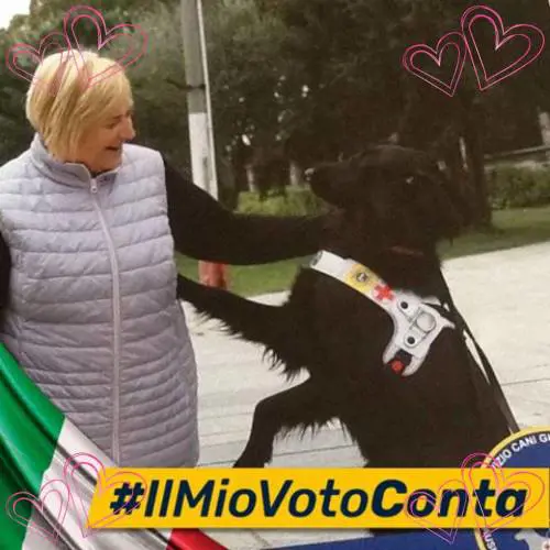 Torino, ipovedente minacciata su bus: “Il tuo cane deve scendere o lo butto giù”