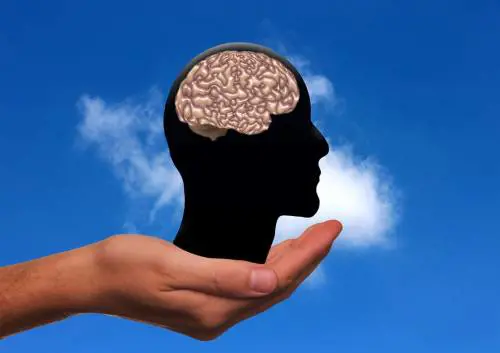 Come mantenere sano e attivo il cervello