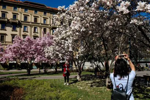 I giardini Renata Tibaldi in fiore a Milano 
