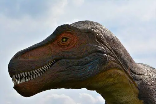 Il dinosauro era uno stupido, le fake news sull'evoluzione