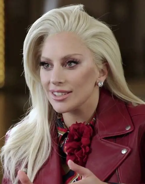 Lady Gaga e Jeremy Renner stanno insieme?