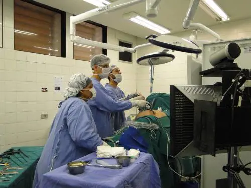 New Jersey, cancro alle ovaie scambiato per semplici crampi addominali