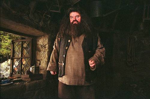 L'Hagrid di Harry Potter costretto su una sedia a rotelle